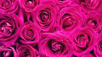 Barefoot Beaute 🦶🏼💖 thumbnail