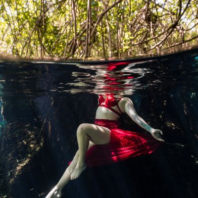 pinkthehawk2020 thumbnail