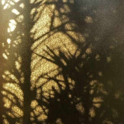 iamchantal thumbnail