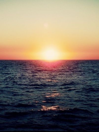 paradise.xxx thumbnail