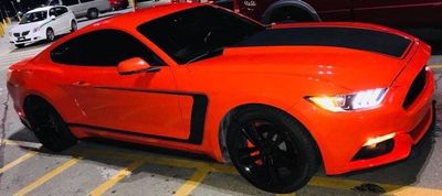 bulldog_plug thumbnail