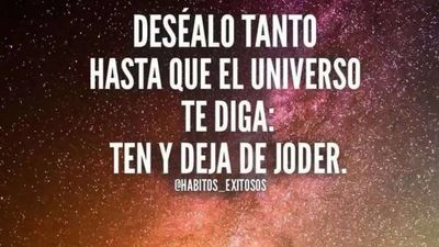 gatitotraviesoxd thumbnail