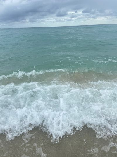 sativafans thumbnail