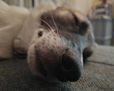 u164299593 thumbnail