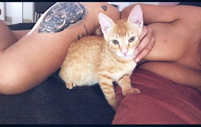 curlynoplastic thumbnail