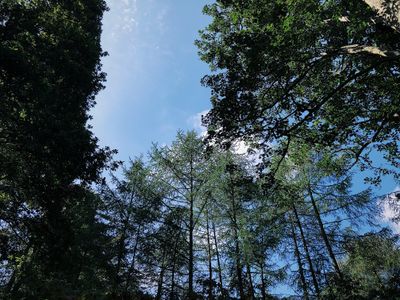 Samara 🌺 thumbnail