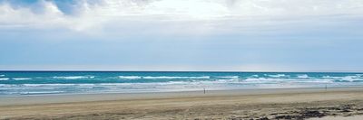 nick_the_nakedtradie thumbnail