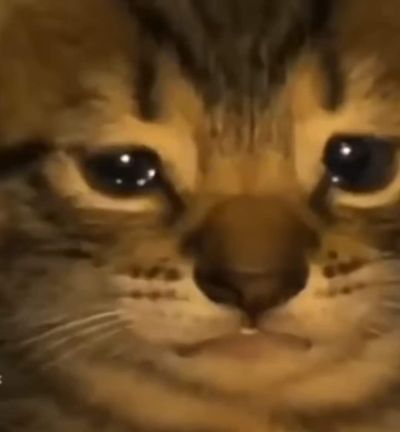 breedingk1tt3n thumbnail