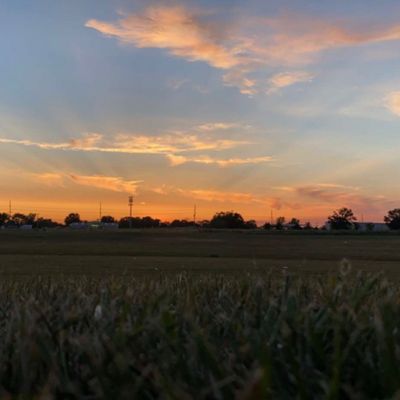 applebutter5 thumbnail