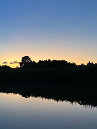 throbby.gobby thumbnail