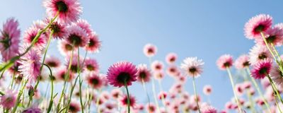 baby.bella.xo thumbnail