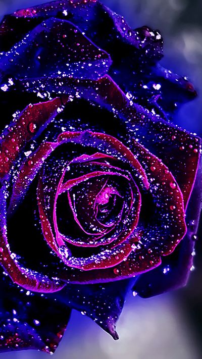 mysteriouswoman10 thumbnail