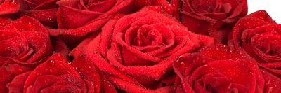 ghostbhane thumbnail