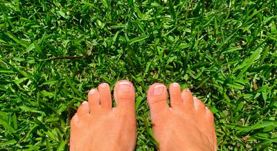 u210666459 thumbnail