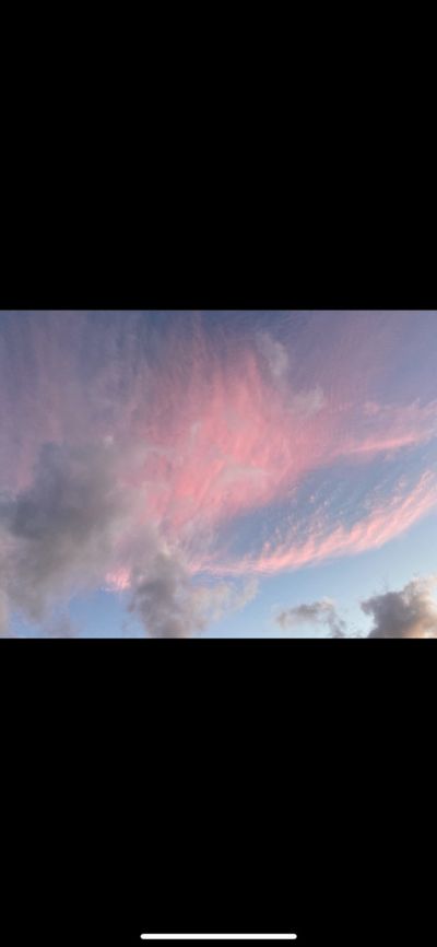 cutespookykitten thumbnail