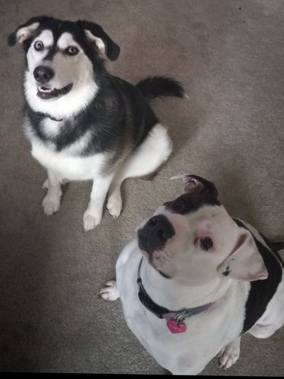 missdiva95 thumbnail