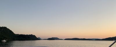 vikingtrans thumbnail