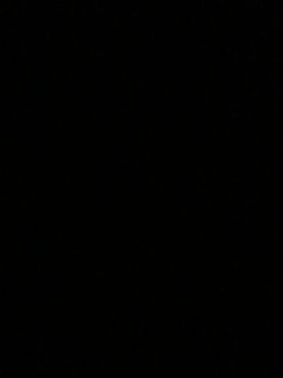 Steven harvey profile