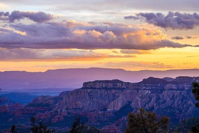 Alondra Castruita thumbnail