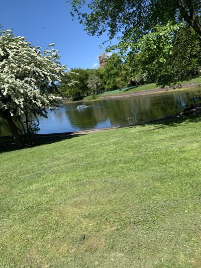 u147583587 thumbnail