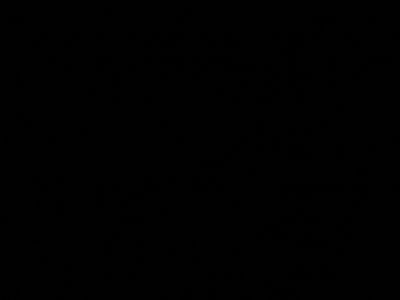 bodynastya thumbnail