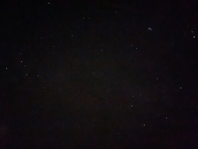 TrippiTori thumbnail