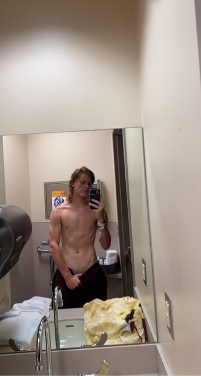 stallionpics profile