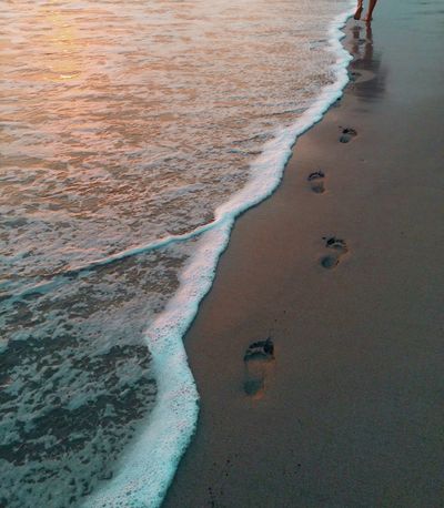 hippietoes.x thumbnail