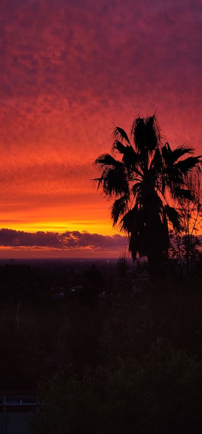 jeanettecollins07 thumbnail