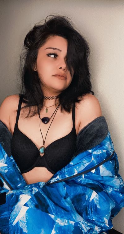 zemiikatspage profile