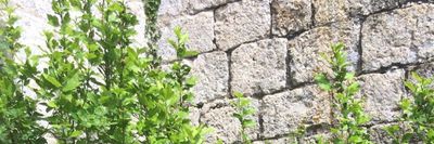 thefootgoddess thumbnail