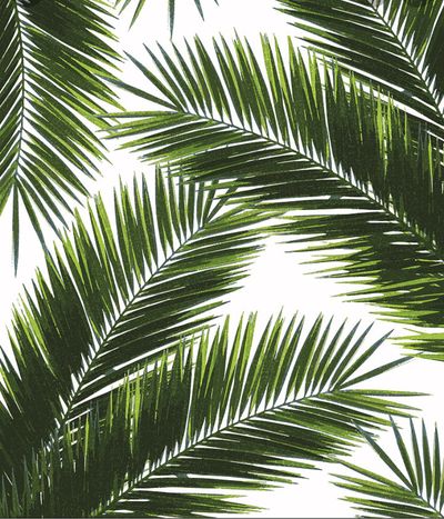 u165841360 thumbnail