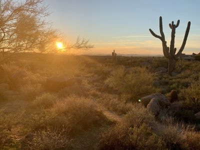 nipplegram thumbnail