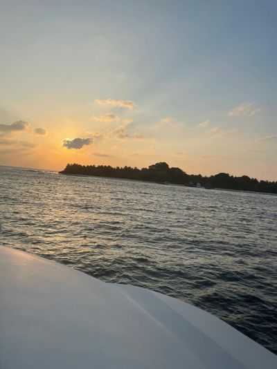 davids_fantasy thumbnail