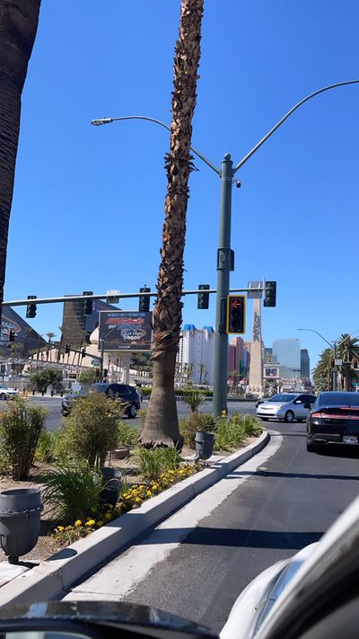 savagejayjay thumbnail