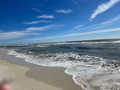 exotictastess thumbnail