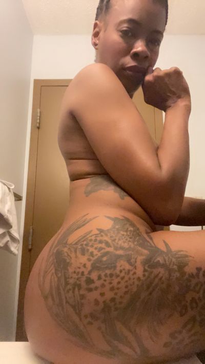 bossanova85 thumbnail