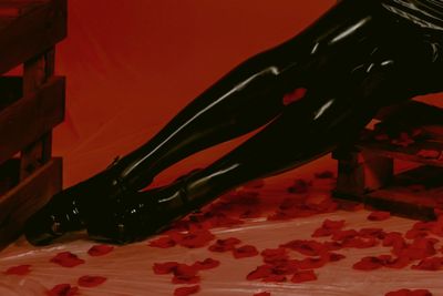 sonatalicious thumbnail