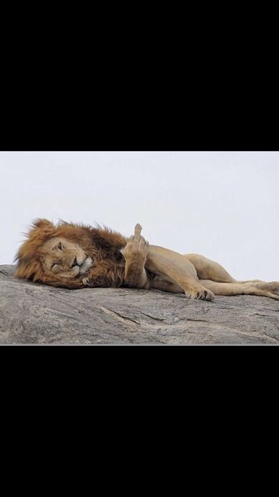 jeffreyyzz thumbnail