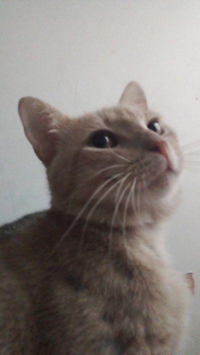 EyleenHot97 thumbnail