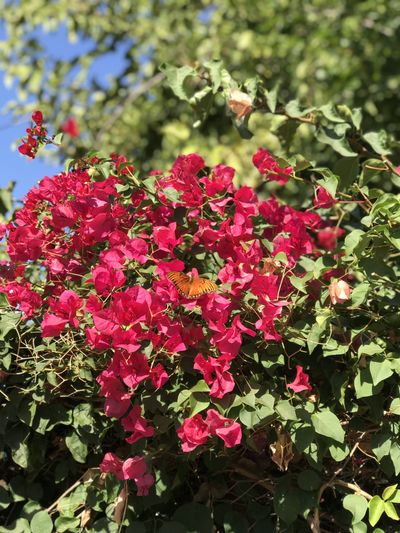 tasty_girl thumbnail