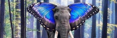 scottyjohn1 thumbnail