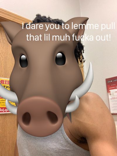 Frank the tank thumbnail