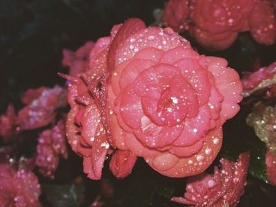 peachybaybee thumbnail