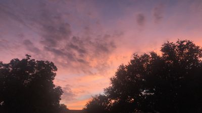 troublemakerfox thumbnail