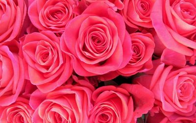 kira.english thumbnail