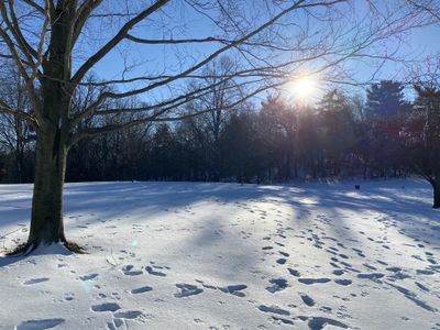 daddyjaybird thumbnail