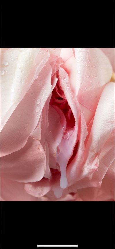 whitegirlroseee thumbnail