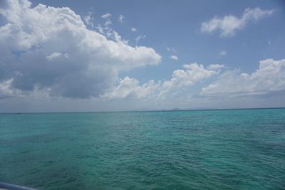 barbellbabee thumbnail