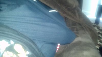 carolinabbc843 thumbnail